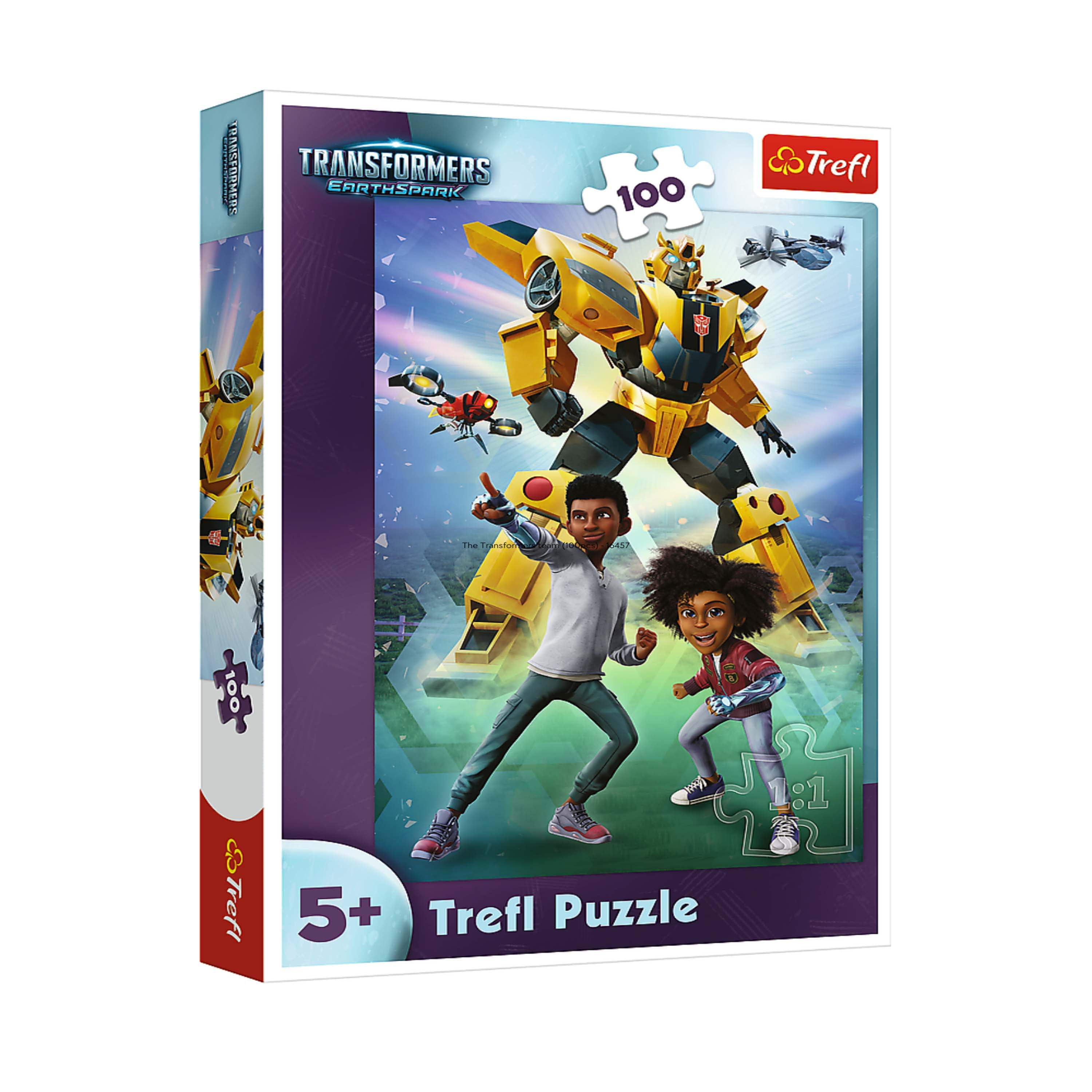Transformers Puzzle