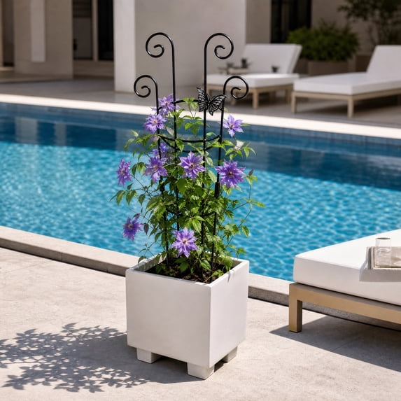 Trellis for Climbing Plants Indoor 1 Pack 23.6 Inch, Rustproof Metal Garden Trellis for Potted Plants, Houseplant Support Indoor Outdoor for Ivy Pothos Monstera Hoya Flower Vines (Black)
