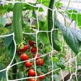 thumbnail image 1 of Trellis Netting,  Heavy-Duty Garden Plant Trellis Netting for Climbing Plants, Outdoor Indoor Grow Net for Beans Tomatoes Peas Pumpkin Flowers, 𝟔 𝐱 𝟑𝟎𝐟𝐭, 𝐏𝐚𝐜𝐤 of 4, 1 of 7
