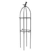 Trellis Plant Climbing Garden Support Cage Frame Flowers Roses Rack Design Vegetable Layer Rattan 2 Plants Vine Vines