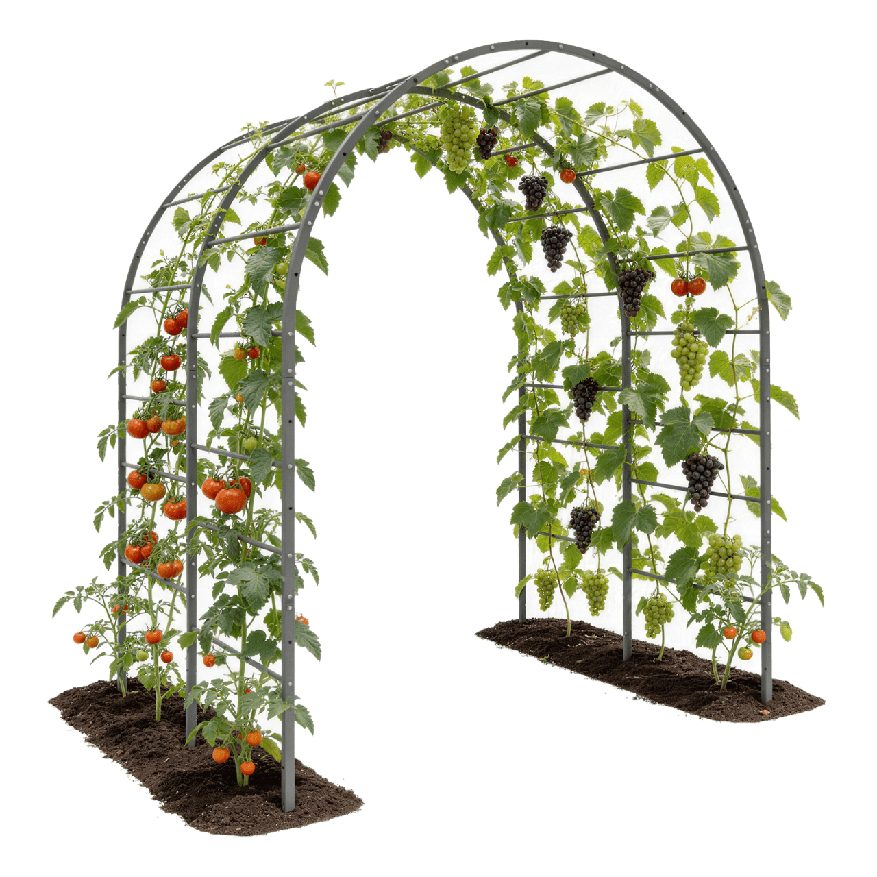 Tramull Trellis System, Garden Arch Trellis for Raised Garden Beds ...