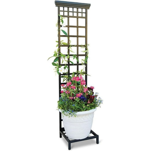 Trellis W/Stand Mission