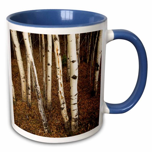 3drose, Trembling Aspen Trees, Populus Tremuloides, Yukon-cn12 Pcl0001 - Paul Colangelo, 11oz Two-tone Blue Mug