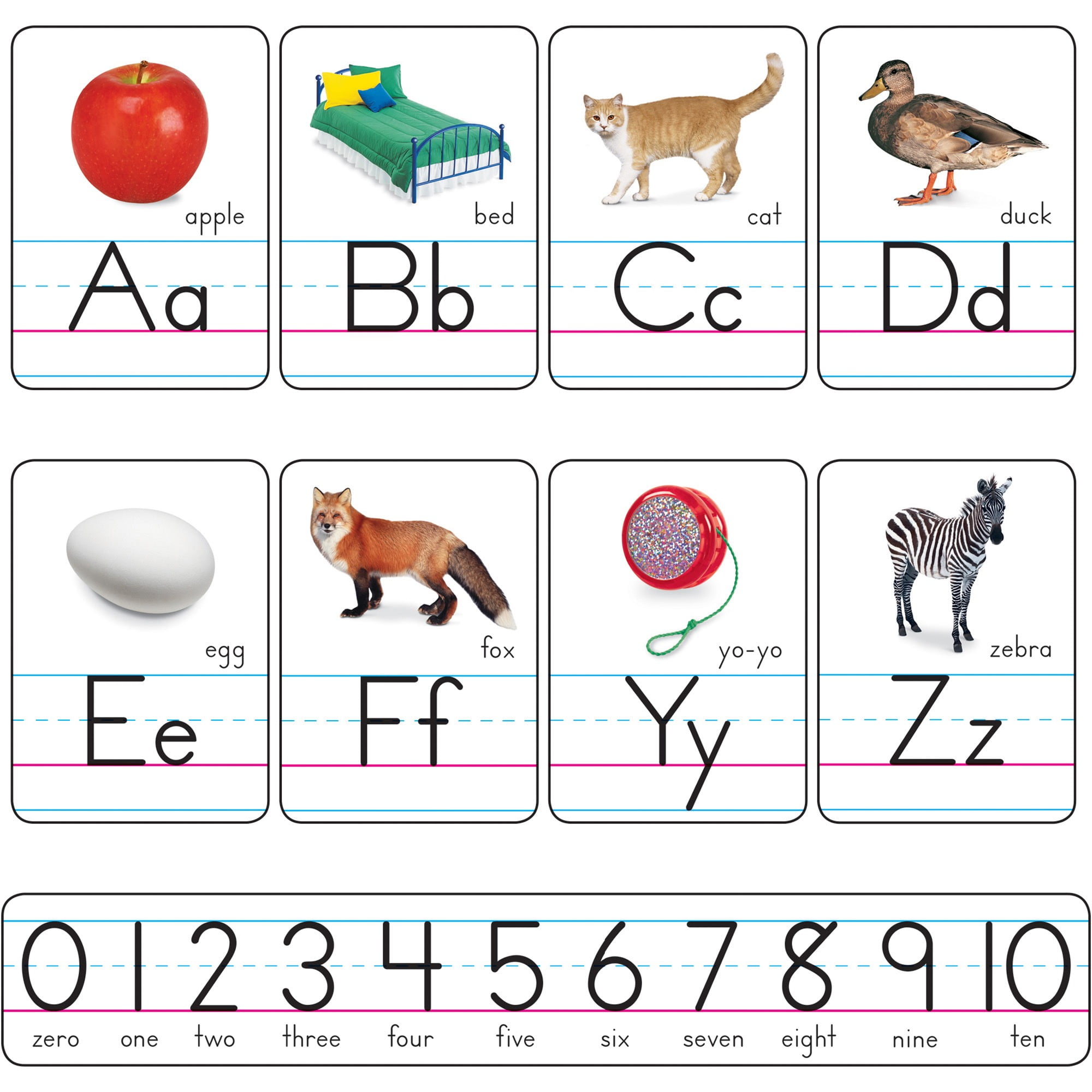 Colorful Paper Alphabet Cards with Photos for Classroom Decoration