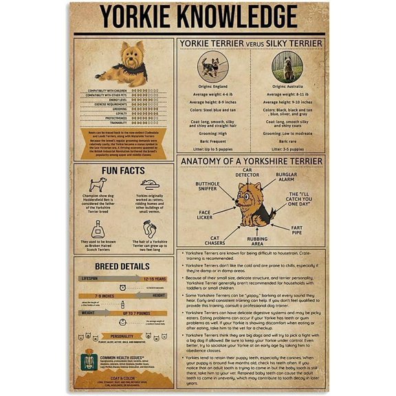 Breezeblow Raccoon Bathroom Metal Poster Rustic Wall Decor Funny Warning Sign Get Naked Unless Visiting Iron Painting Home 8x12inch