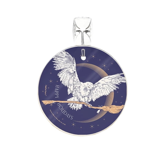 Harry Potter (Hedwig Delivery) StarFire Prints Glass Art SPCIR898