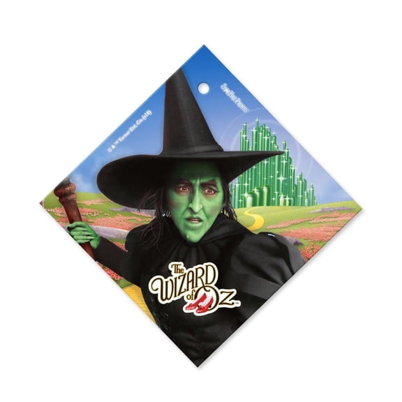 The Wizard of Oz (The Wicked Witch) StarFire Prints Glass Art SPSQU940