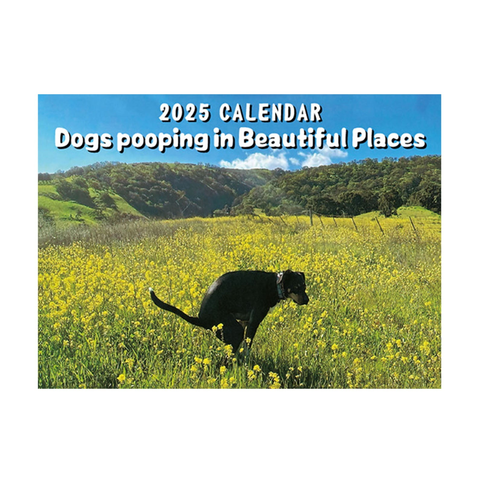 TrendTide 2025 Funny Wall Calendar 12 Months Hanging Monthly Calendar