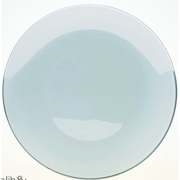 Crown Display 40 Premium Disposable Plastic 10" Dinner Plates - Classic Sage Design