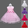 thumbnail image 1 of Trendfront Girls Princess Dress Crew Neck Sleeveless Solid Color Sweet Bowknot Flower Elegant Tulle Tutu Gown Party Wear, 1 of 10