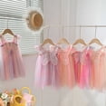 thumbnail image 1 of Trendfront Little Kids Ball Gown Tutu Dress Mini Sleeveless Square Neck Rainbow Pattern 3D Butterfly Wings Mesh Overlay Party Dress, 1 of 4