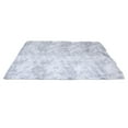 thumbnail image 1 of Trendix Area Rug, Thickened Fluffy Large Area Rugs for Bedroom Floor Carpet, Ultra Soft Non-Slip Fuzzy Rug Bedroom Rug (Light Grey, 160*230cm), 1 of 8