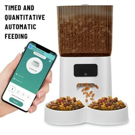 PetSafe Digital Meal Programmable Pet Feeder, Automatic Dog and