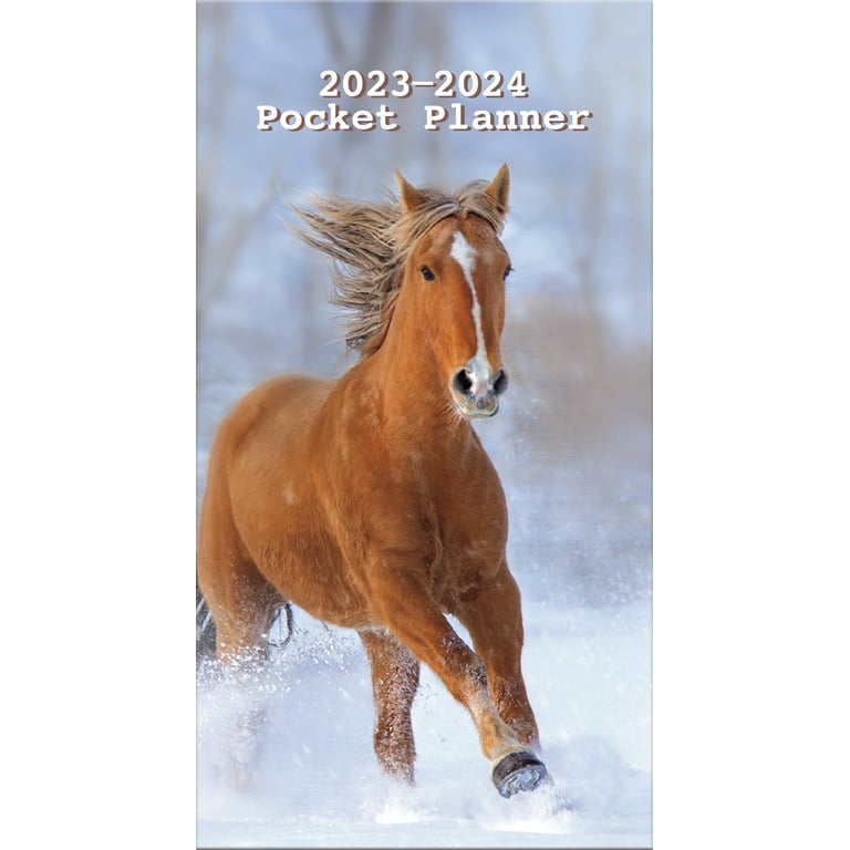 Pony Trends 2025 Kassi Matilda