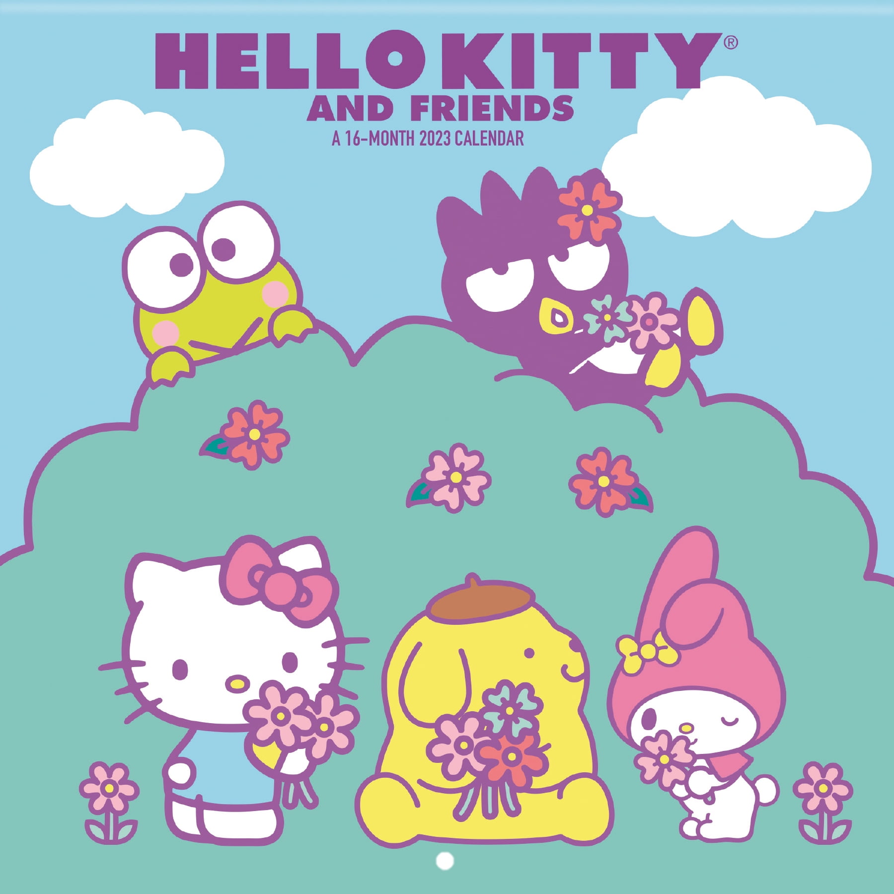 trends-international-2023-hello-kitty-mini-wall-calendar-walmart