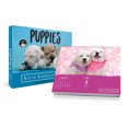 Trends International 2023 Keith Kimberlin Puppies DayataTime Box