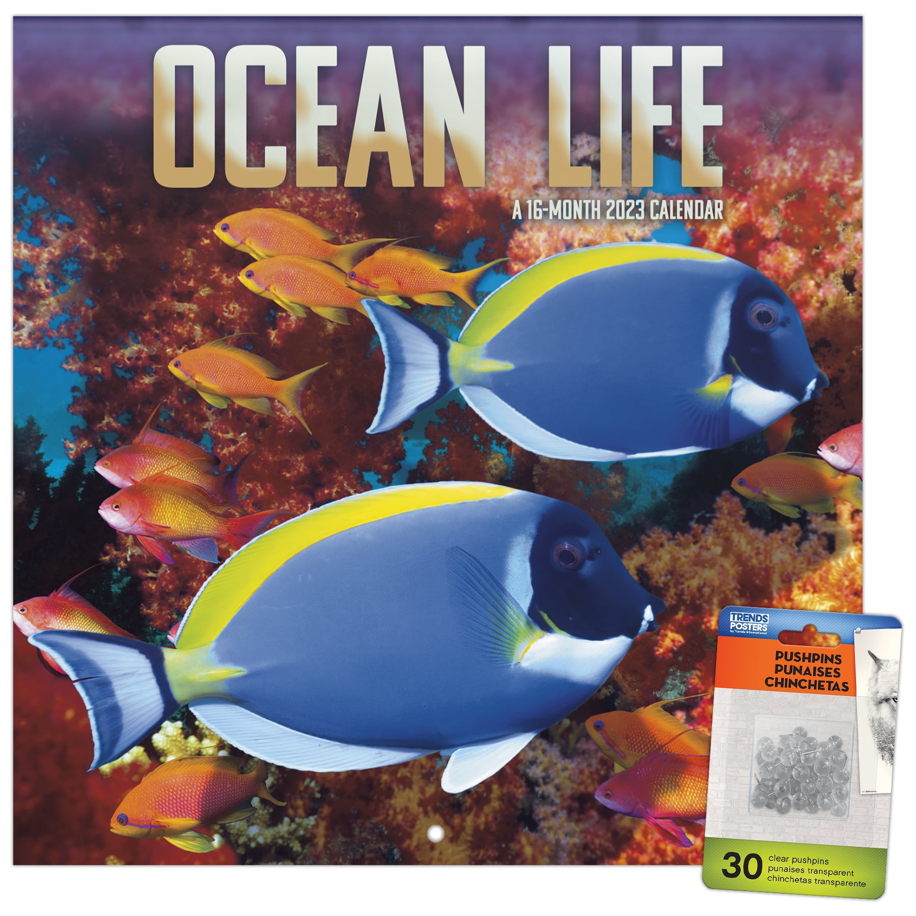 Trends International 2023 Ocean Life Wall Calendar & Pushpins