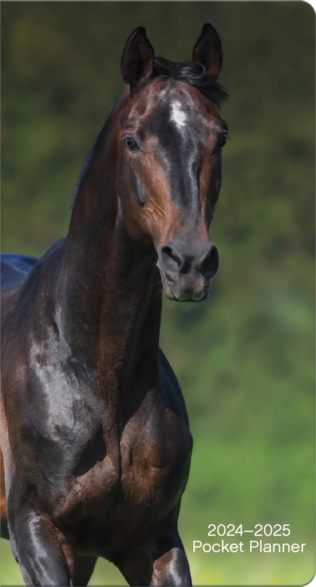 Trends International 20242025 Horses Pocket Planner