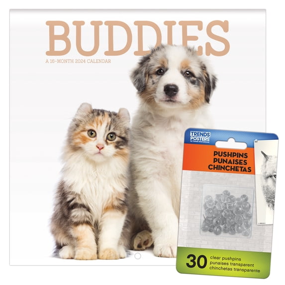Trends International 2024 Buddies Mini Wall Calendar & Push Pins & Push Pins