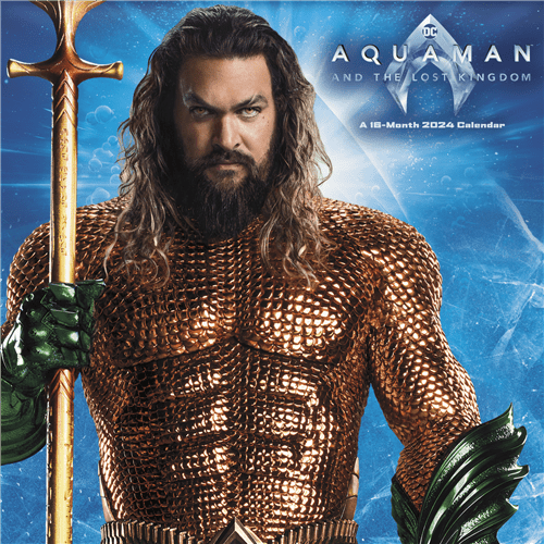 Trends International 2024 DC Comics Aquaman and the Lost Kingdom Wall