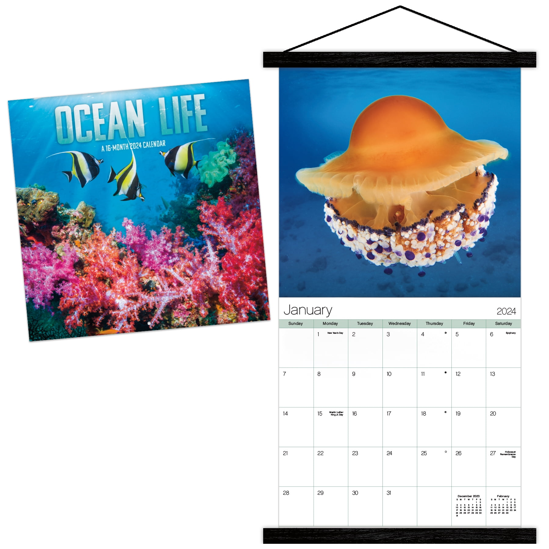 Trends International 2025 Ocean Life Wall Calendar & Frame