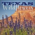 thumbnail image 1 of Trends International 2024 Texas Wildflowers Wall Calendar, 1 of 7