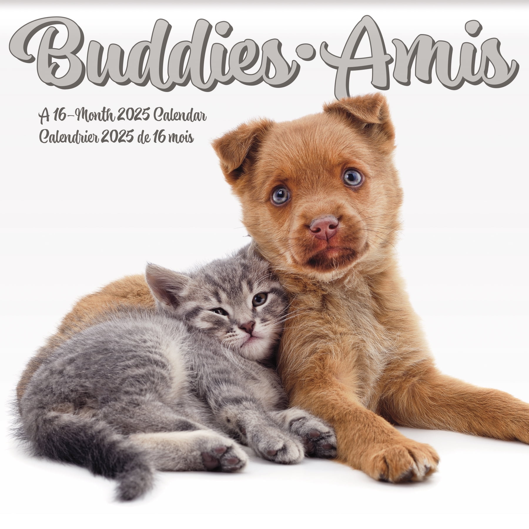Trends International 2025 Buddies Mini Wall Calendar