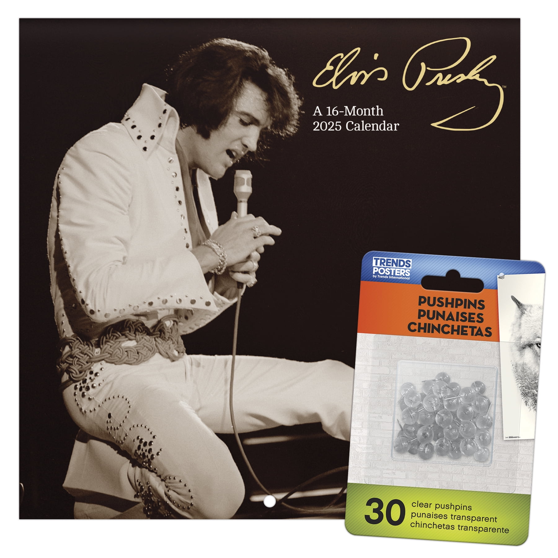 Trends International 2025 Elvis Presley Mini Calendar & Push Pins ...