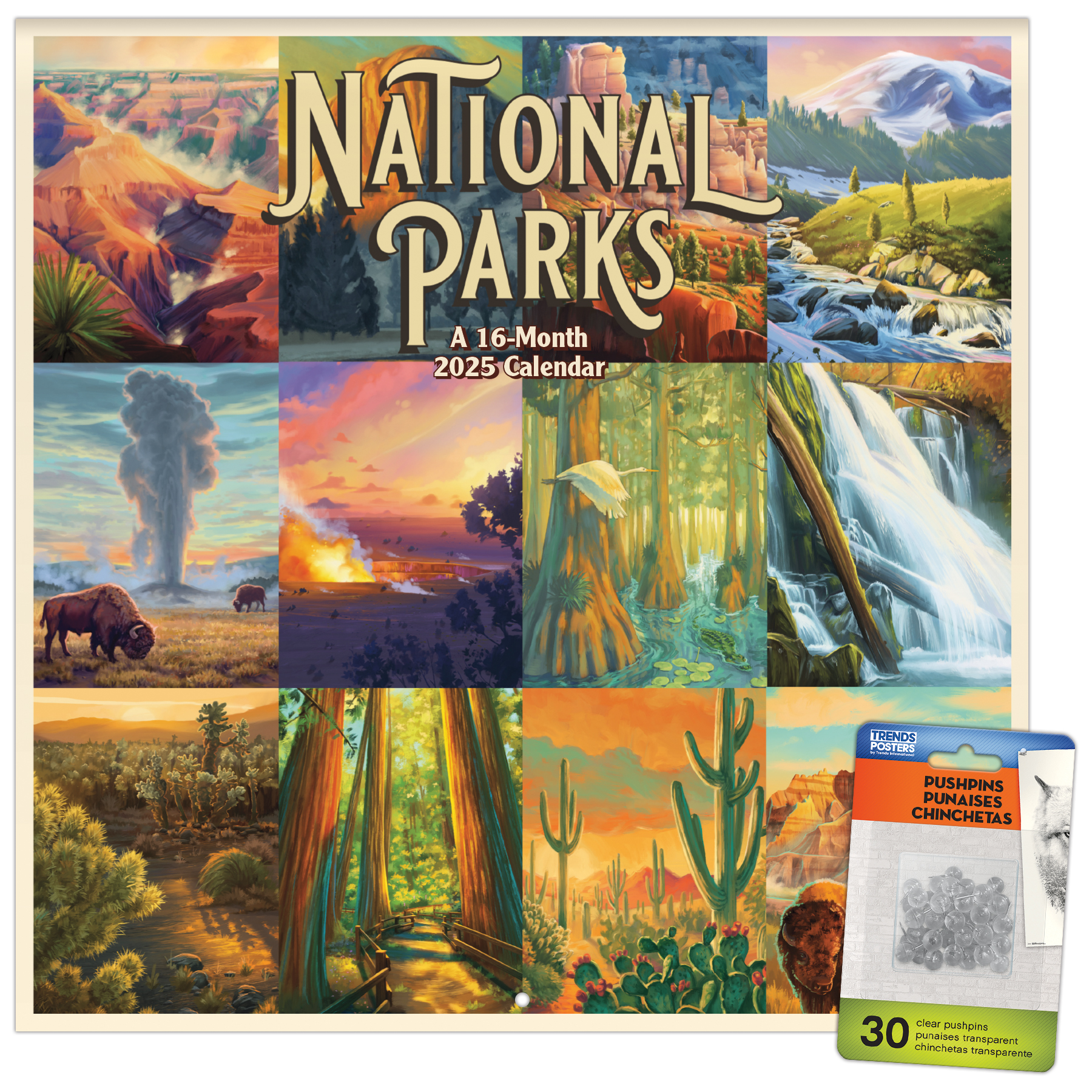 Trends International 2025 National Parks Wall Calendar & Push Pins