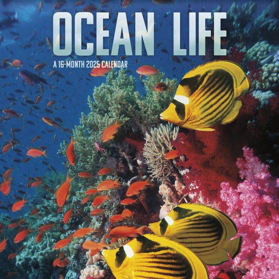Trends International 2025 Ocean Life Wall Calendar