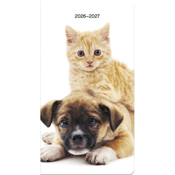 Trends International 2026-2027 Buddies Pocket Planner