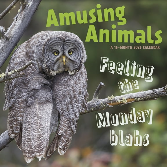 Trends International 2026 Amusing Animals Wall Calendar
