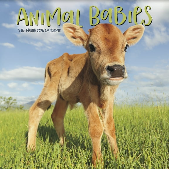 Trends International 2026 Animal Babies Mini Wall Calendar