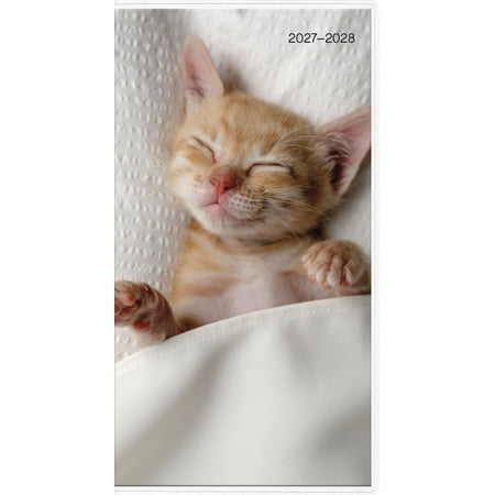 Trends International 2027-2028 Cuddly Kittens Pocket Planner