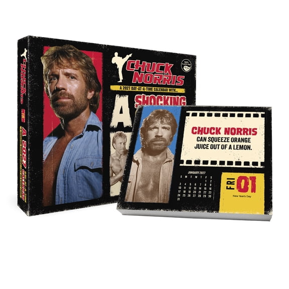 Trends International 2027 Chuck Norris Day-at-a-Time Box Calendar