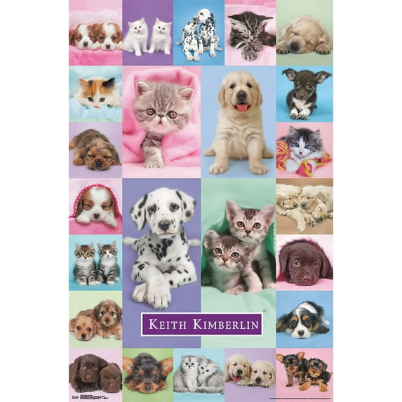 Trends International Animals & Insects Poster