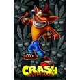 thumbnail image 1 of Trends International Crash Bandicoot Wall Poster, 22.375" x 34", Multicolor, 1 of 1