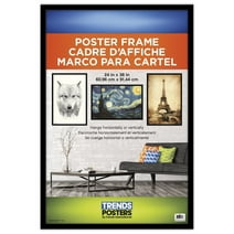 Trends International Deluxe Poster Frame, Black, for 24" x 36" Posters