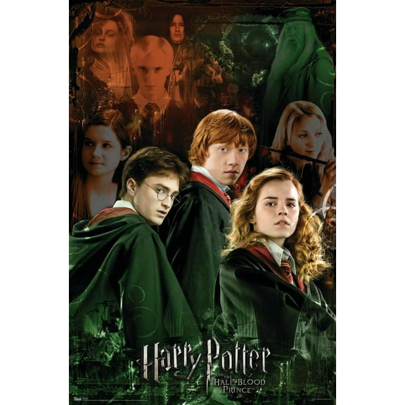 Trends International Harry Potter 6 - Trio Poster