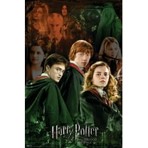 Trends International Harry Potter 6 - Trio Poster