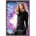 thumbnail image 1 of Trends International Harry Potter Framed Poster, 1 of 6
