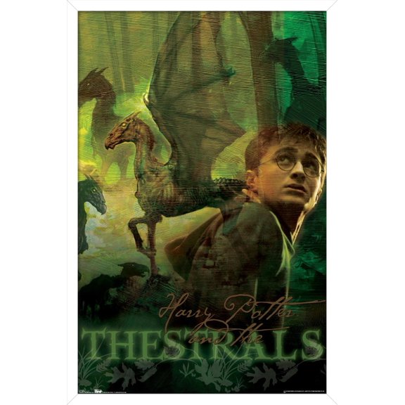 Trends International Harry Potter Framed Poster