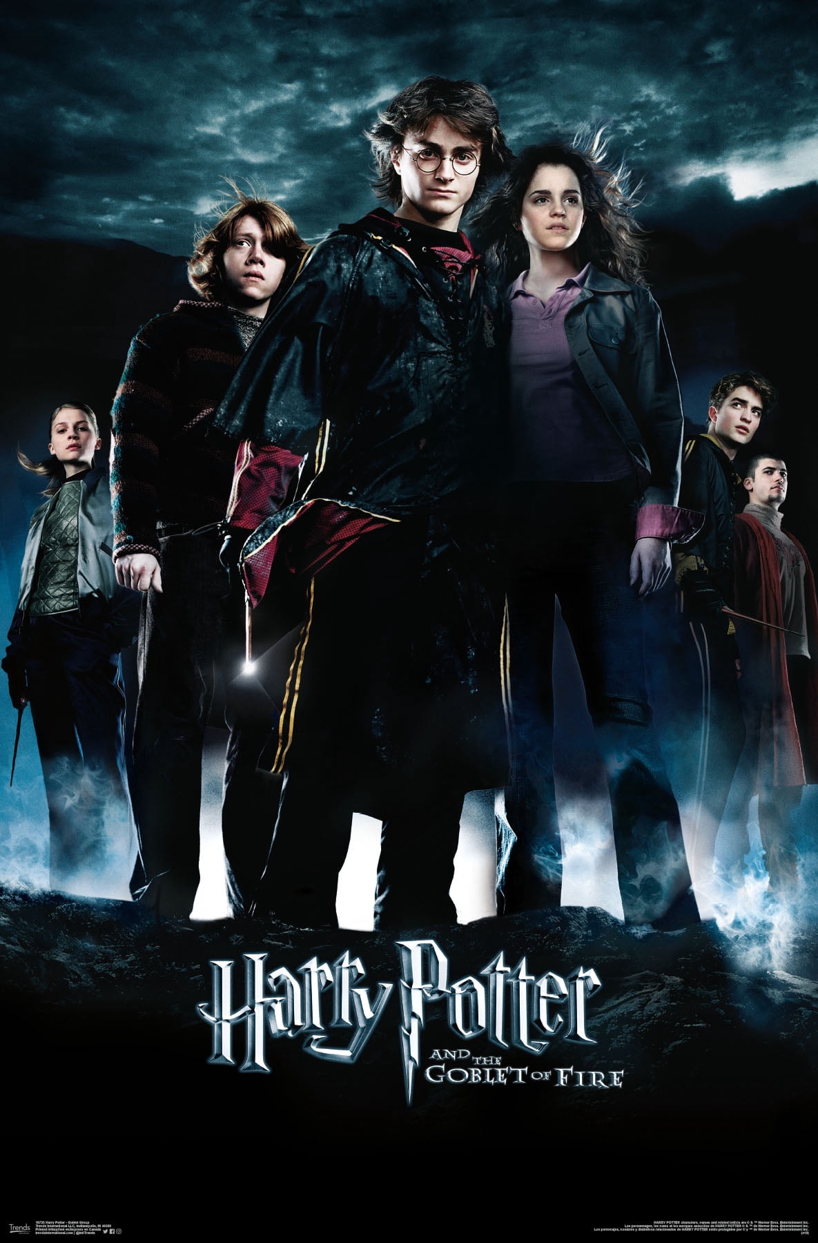 Trends International Harry Potter Movies Poster