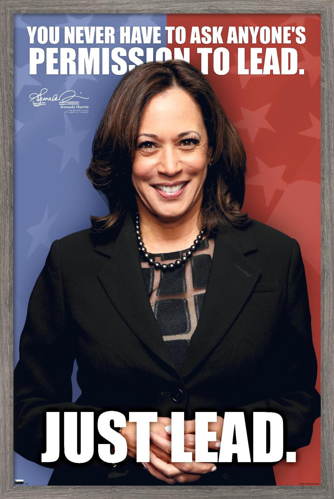 Trends International Kamala Harris - 2021 Vice President Wall Poster 16.5" x 24.25" x .75" Barnwood Framed Version