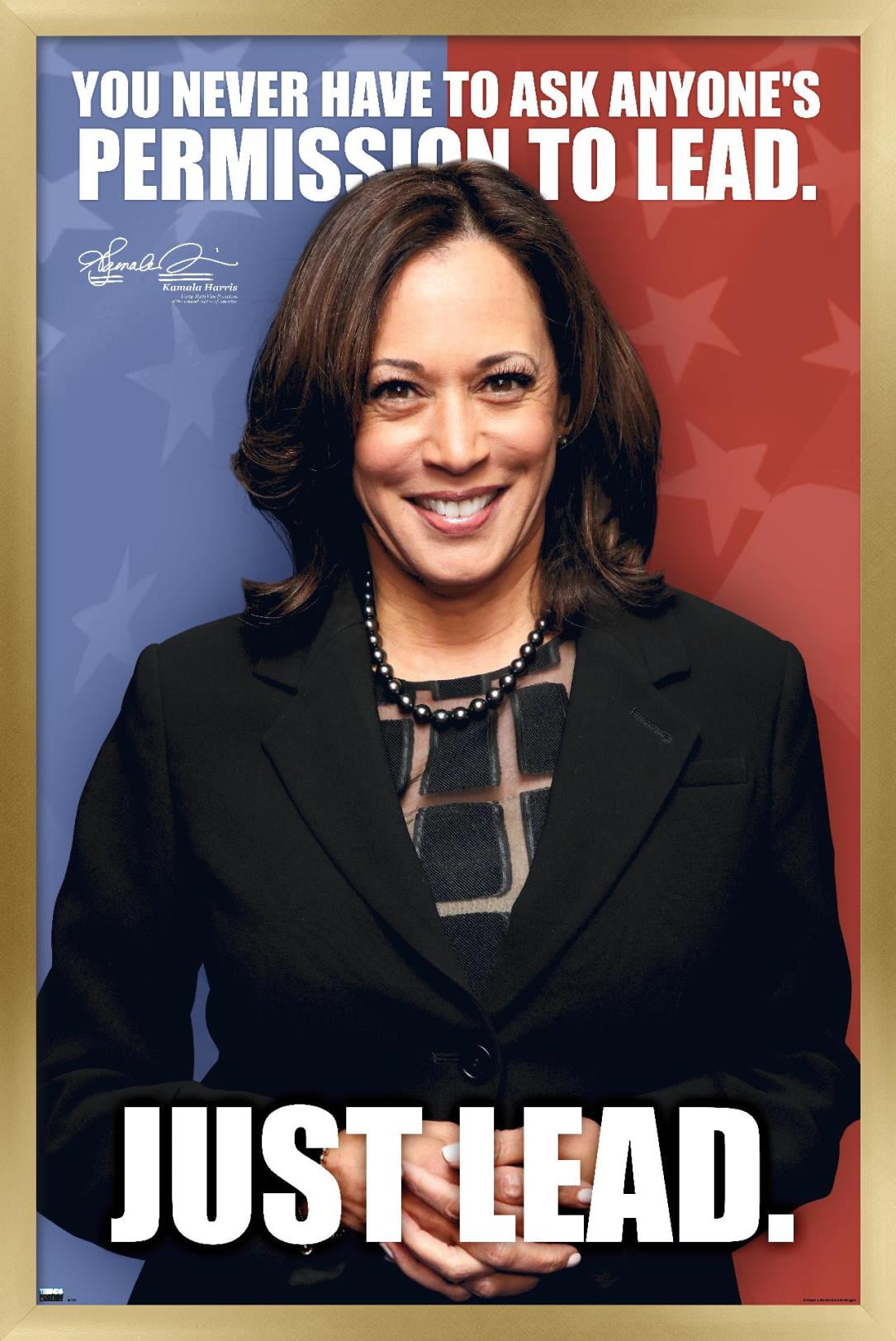Trends International Kamala Harris - 2021 Vice President Wall Poster 16.5" x 24.25" x .75" Gold Framed Version