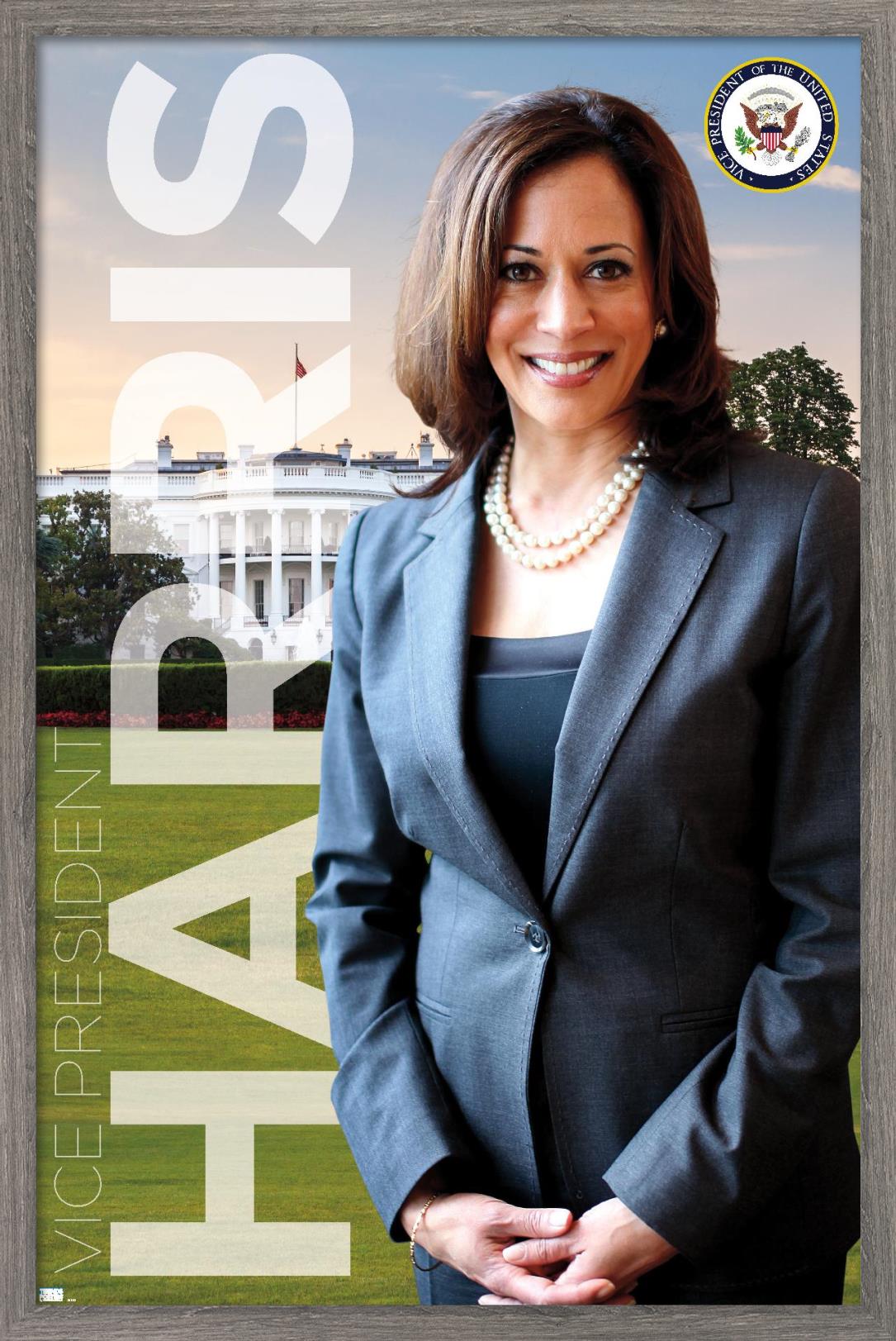 Trends International Kamala Harris - Vice President Wall Poster 24.25" x 35.75" x .75" Barnwood Framed Version