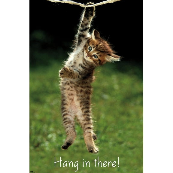 Trends International Kitten Hang In There Wall Poster Unframed 12x18inch(30x45cm)