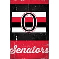 thumbnail image 1 of Trends International Ottawa Senators® - Retro Logo Poster, 1 of 4