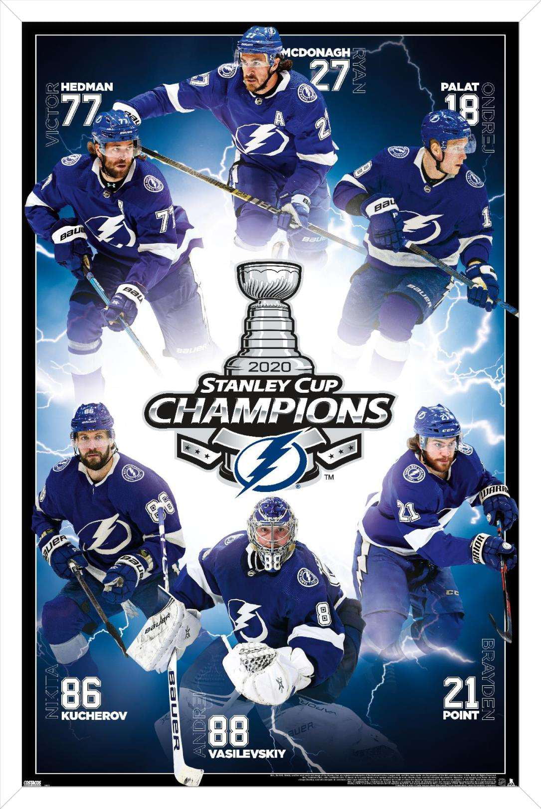 Tampa Bay Lightning: Stanley Championship Banner - NHL Removable Wall Adhesive Wall Decal Giant Cup 43W x 42H