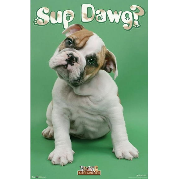 Trends International Puppy - Sup Dawg Poster